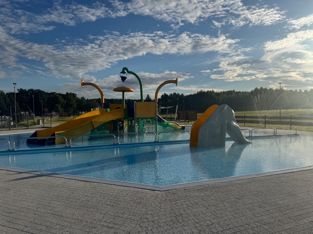  students study in the library