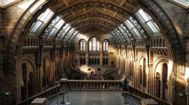  wnętrze budynku wydziału historycznego